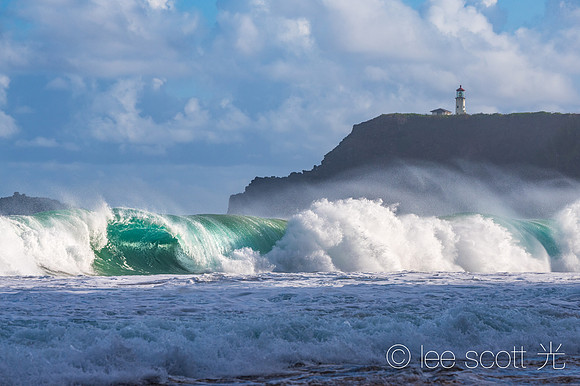 Another Wave at Kilauea Point