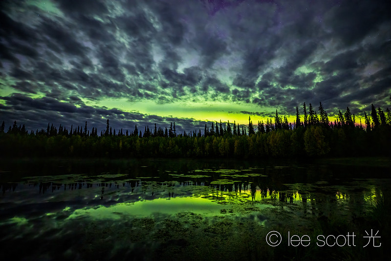 Aurora Night