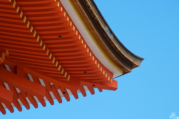 wings of red and gold