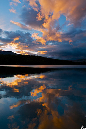 smile (and reflect the beauty that is around you)