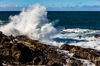Sonoma Coast