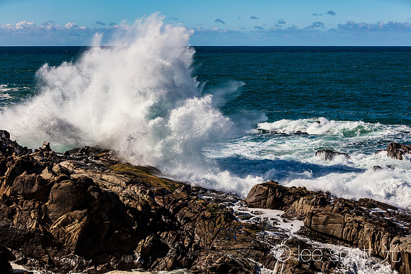Sonoma Coast