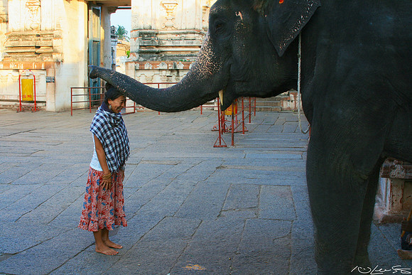 she got her blessing