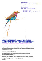 Tanzania: The Northern Safari Circuit