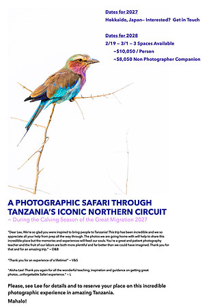 Tanzania: The Northern Safari Circuit