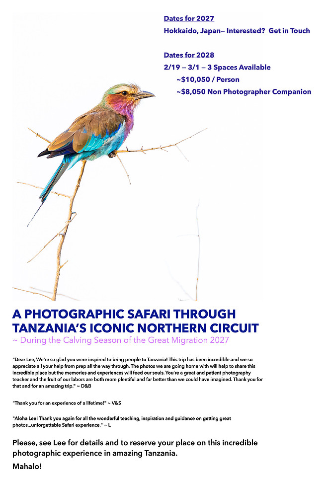 Tanzania: The Northern Safari Circuit