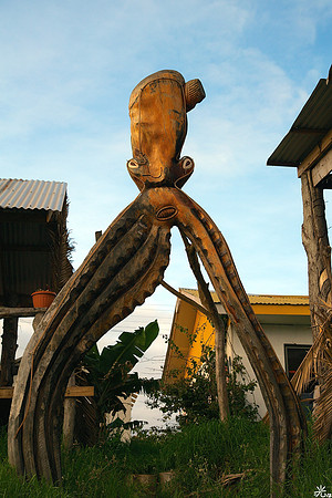 tako
