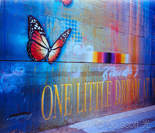 One Night I Dreamed I was a Butterfly
