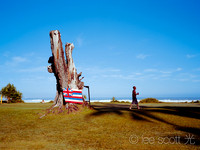 Pinetrees Flag (The Kingdom of Hawaii)
