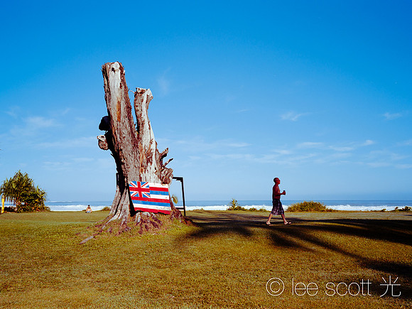 Pinetrees Flag (The Kingdom of Hawaii)