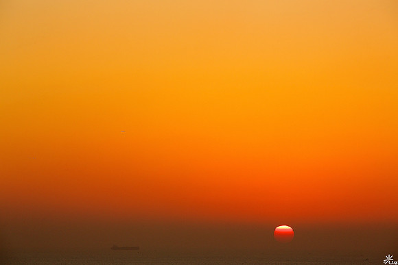 slices of sun