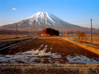 Ezo Fuji, Trees and Cloud