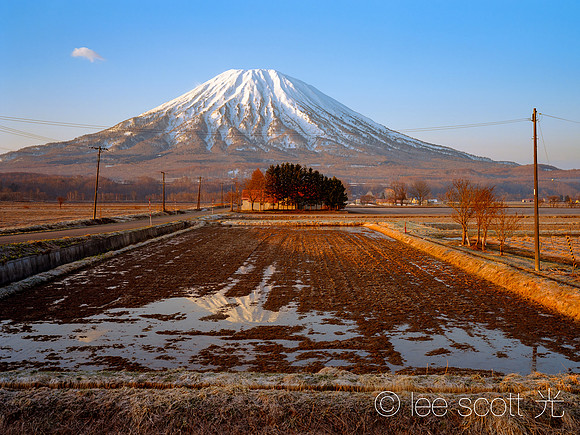 Ezo Fuji, Trees and Cloud