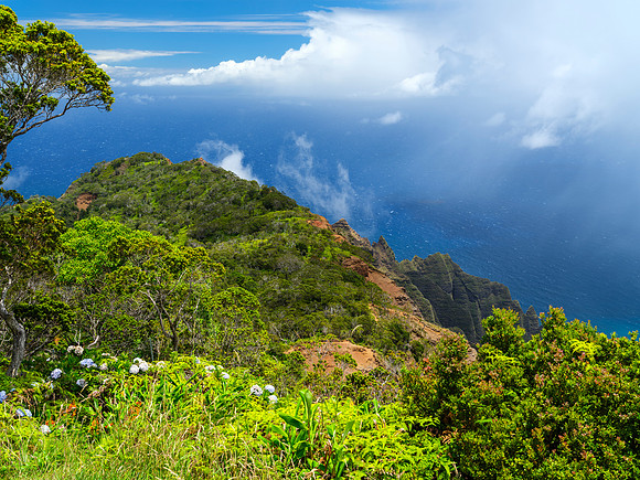 The Cooling Colors of Kauai