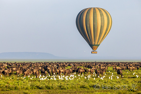 Balloon over the Great Migration