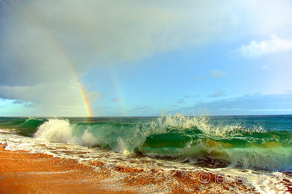 Aloha State