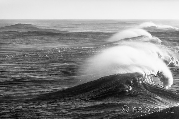 Ocean at Play