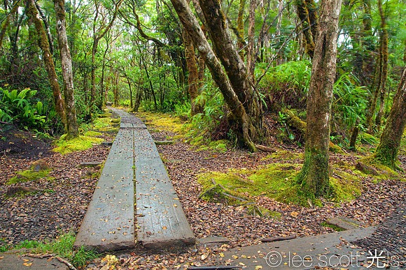 crossroads (on the path)