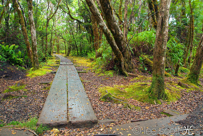 crossroads (on the path)