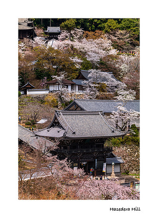 Hasedera Hill