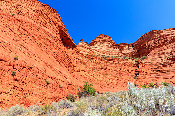 This is The Coyote Buttes South