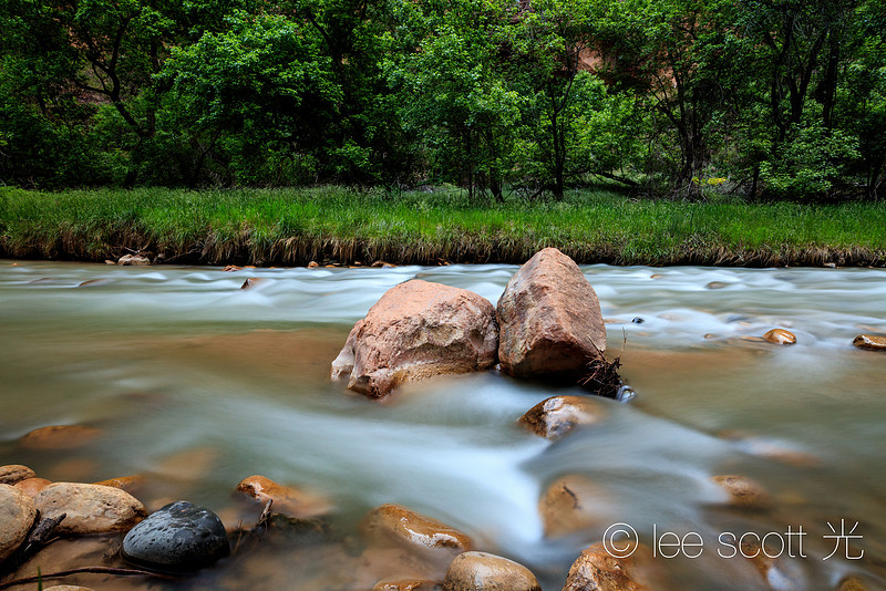 Finding Zen in Zion