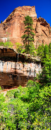 Emerald Pools Trail (3 shot pano)