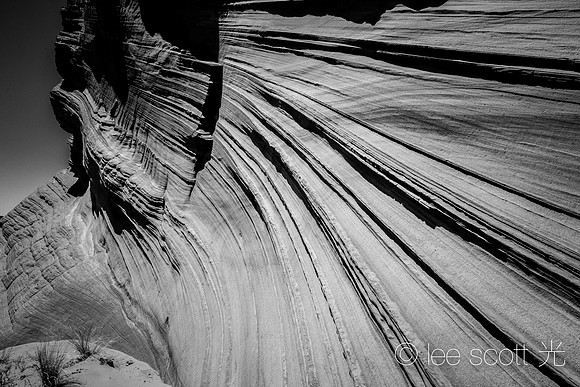 Lines and Curves