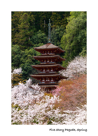 Five Story Pagoda, Spring