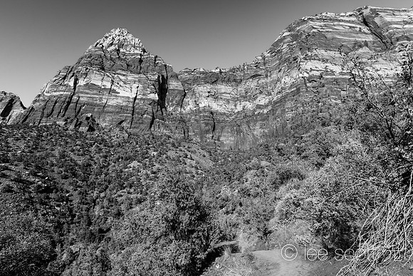 Watchman Trail (bw)