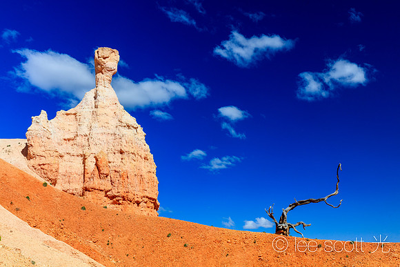 Revolution at Bryce Canyon (Will Not Be Televised)