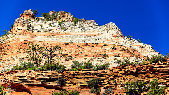 East Zion Landscape