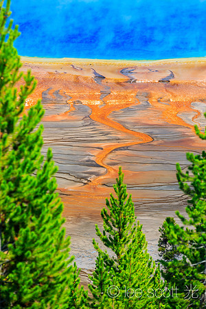 Orange, Blue and a Little Green