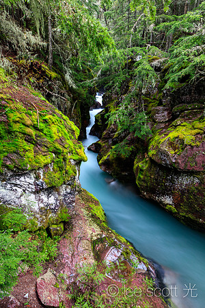 The Icy Blue of Avalanche Gorge