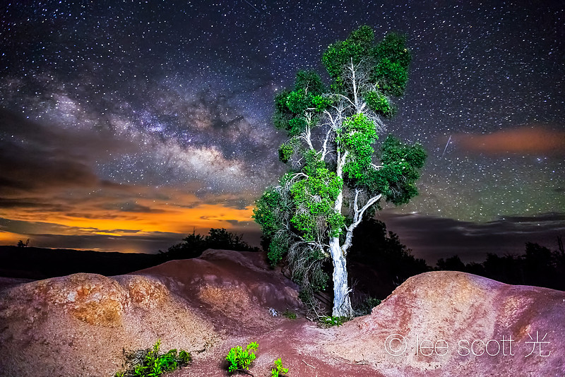 Kauai Night Sky