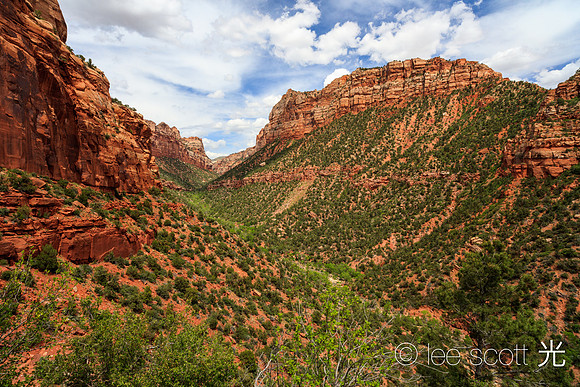 The Canyon that Leads to the Subway