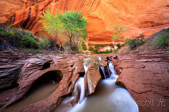 Coyote Curves and Canyon Walls