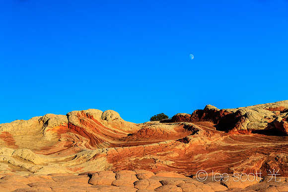 A Liquid Landscape
