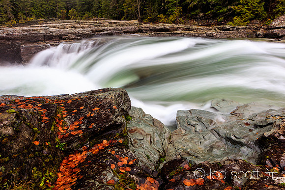 Glacial Flow and Orange Leaves
