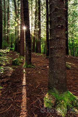 The Sleeping Giant Trail