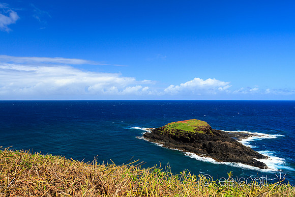 Moku’ae’ae