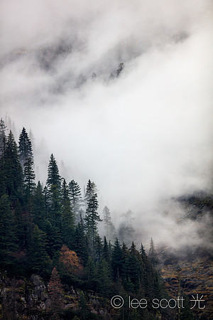 Hidden by Fog