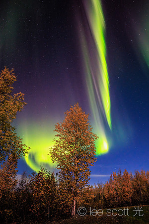 Birch and Aurora Ascension