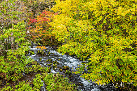 This is Hokkaido, Pure Hokkaido