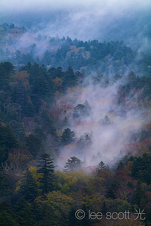 Misty Lines