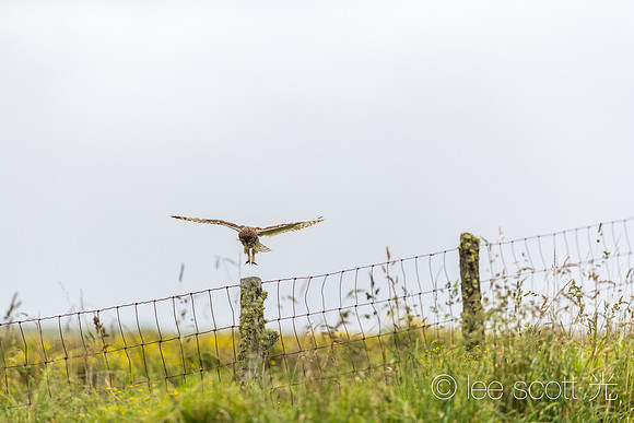 Nail the Landing