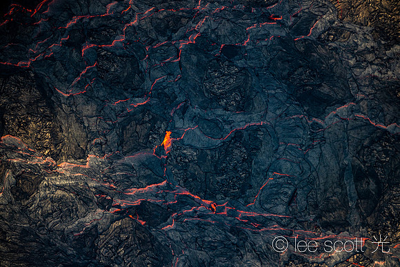Veins