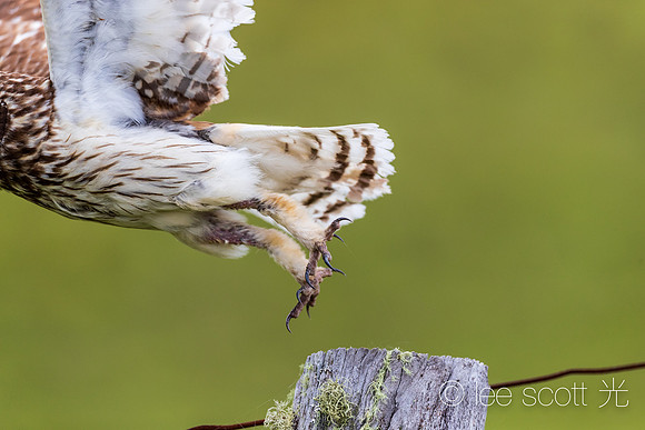 Jump!