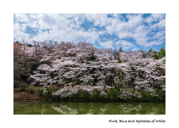 Pink, Blue and Splashes of White