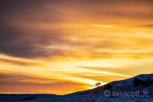 Tree on a Hill at Sunrise